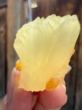 Load image into Gallery viewer, Golden Yellow Stilbite + Golden Calcite • Maharashtra, India
