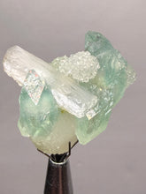 Load image into Gallery viewer, Luminous Mint Apophyllite with Glittering Druzy Sugar Quartz – India
