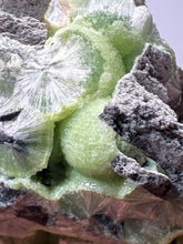 Load image into Gallery viewer, High-Grade Green Wavellite Collectors Specimen - Radiating Botryoidal Crystal Formation - Arkansas, USA
