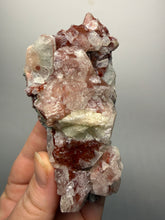 Load image into Gallery viewer, Rare Red + Green Apophyllite Crystal Cluster – High Grade Collector Mineral Specimen | India
