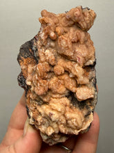 Load image into Gallery viewer, Chalcedony Quartz Rose Agate Collector Mineral Specimen – Morocco
