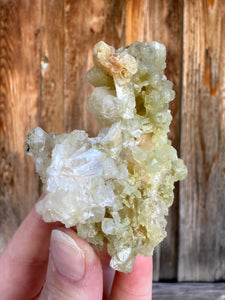Green Heulandite Cluster • Maharashtra, India