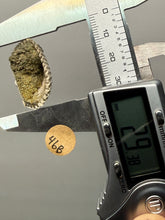 Load image into Gallery viewer, Bivalve (Pelecypoda) Fossil Sea Shell with Chalcopyrite | Mineralized Fossil Specimen | Indonesia
