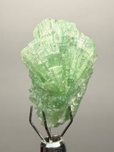Load image into Gallery viewer, Green Radial “Disco Ball” Apophyllite | Maharashtra, India
