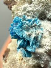Load image into Gallery viewer, Rare Electric Blue Cavansite on Druzy Matrix – Collector Mineral Specimen | India

