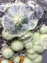 Load image into Gallery viewer, High-Grade Green Wavellite Collectors Specimen - Radiating Botryoidal Crystal Formation - Arkansas, USA
