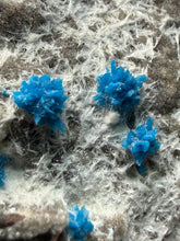 Load image into Gallery viewer, Rare Electric Blue Pentagonite on Druzy Matrix – Collector Mineral Specimen | India
