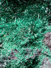 Load image into Gallery viewer, Brochantite Collector Mineral Specimen – Vivid Green Copper Crystals from Morocco
