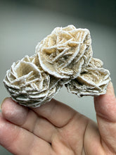 Load image into Gallery viewer, Desert Rose Selenite (Gypsum) — Mineral Display Specimen | Mexico
