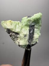 Load image into Gallery viewer, High-Grade Green Wavellite Collectors Specimen - Radiating Botryoidal Crystal Formation - Arkansas, USA
