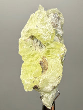 Load image into Gallery viewer, Vibrant Yellow Brucite Thumbnail Mineral Specimen | Collector Crystal from Killa Saifullah District in Balochistan Province, Pakistan
