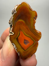 Load image into Gallery viewer, Lot of 9 Small Malawi Agate Halves – Polished Rare Colorful Collector Specimens
