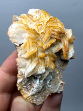Load image into Gallery viewer, Natural Vanadinite on Matrix | Collector Mineral Specimen | Morocco
