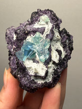 Load image into Gallery viewer, High-Grade Rare Purple-Green-Blue Cubic Fluorite | Cabinet Mineral Collector Specimen | Zhejiang Province, China
