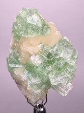 Load image into Gallery viewer, Green Radial “Disco Ball” Apophyllite | Maharashtra, India
