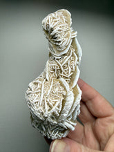 Load image into Gallery viewer, Desert Rose Selenite (Gypsum) — Mineral Display Specimen | Mexico
