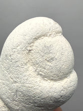 Load image into Gallery viewer, Chichaoua Menalite “Fairy Stone” Concretion | Natural Collector Display Specimen | Morocco
