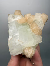 Load image into Gallery viewer, High-Grade Light Green Apophyllite on Pink Stilbite Zeolite | Indian Collector Mineral Specimen
