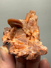 Load image into Gallery viewer, Chalcedony Quartz Rose Agate Collector Mineral Specimen – Morocco
