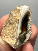 Load image into Gallery viewer, Premium Sumatra Agate (Banded Chalcedony) Display Specimen | Indonesia
