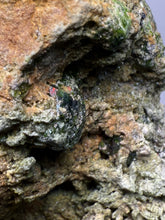 Load image into Gallery viewer, Gemmy Green Garnet on Matrix – Pakistan Collector Specimen
