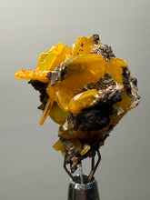 Load image into Gallery viewer, High-Grade Orange Wulfenite Collector Display Specimen | La Morita Mine, Chihuahua, Mexico
