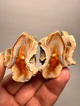 Load image into Gallery viewer, High-Grade Indonesian Sumatra Agate Pair – Vibrant Banded Chalcedony with Rich Color Zoning | Ethical Lapidary &amp; Collector Display Specimens

