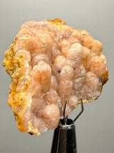 Load image into Gallery viewer, “Goblin Chalcedony” Pink &amp; Orange Druzy Botryoidal Stalactites— Tichka Massif, High Atlas, Morocco
