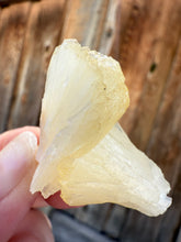 Load image into Gallery viewer, Golden Yellow Stilbite • Maharashtra, India
