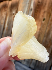Golden Yellow Stilbite • Maharashtra, India
