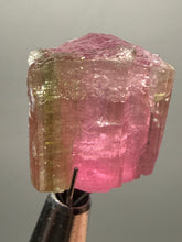 Load image into Gallery viewer, Raw Bi-Color Pink and Green Tourmaline Crystal Specimen | Ocean View Mine, Pala, California, USA
