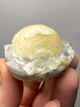 Load image into Gallery viewer, Rare Botryoidal Yellow Fluorite on Quartz Matrix  Collector Mineral Specimen – Maharashtra, India
