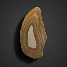 Load image into Gallery viewer, Stromatolite Fossil Slice | Ancient Microbial Reef Structure | Morocco
