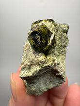 Load image into Gallery viewer, Gemmy Green Garnet on Matrix – Pakistan Collector Specimen
