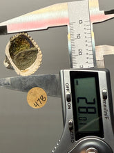 Load image into Gallery viewer, Bivalve (Pelecypoda) Fossil Sea Shell with Chalcopyrite | Mineralized Fossil Specimen | Indonesia

