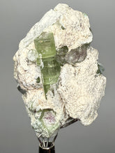 Load image into Gallery viewer, Watermelon Tourmaline on Matrix – Collector Mineral Specimen from Pakistan

