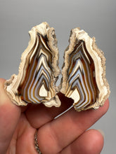 Load image into Gallery viewer, High-Grade Indonesian Sumatra Agate Pair – Vibrant Banded Chalcedony with Rich Color Zoning | Ethical Lapidary &amp; Collector Display Specimens
