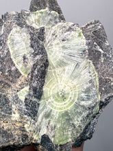 Load image into Gallery viewer, High-Grade Green Wavellite Collectors Specimen - Radiating Botryoidal Crystal Formation - Arkansas, USA
