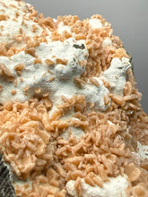 Load image into Gallery viewer, Peach Druzy Heulandite on Matrix – India | Rare Peach Crystal Mineral Specimen for Collectors &amp; Display
