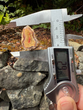 Load image into Gallery viewer, High-Grade Parallax Banded Laguna Agate – Bright Red &amp; Yellow Crystal from Mexico
