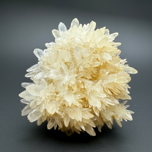Load image into Gallery viewer, High-Grade Flower Coral Aragonite Crystal Specimen – Wenshan Mine, Yunnan, China
