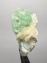 Load image into Gallery viewer, Green Radial “Disco Ball” Apophyllite | Maharashtra, India
