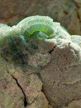 Load image into Gallery viewer, High-Grade Green Wavellite Collectors Specimen - Radiating Botryoidal Crystal Formation - Arkansas, USA
