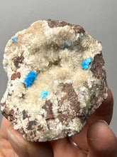 Load image into Gallery viewer, Rare Electric Blue Pentagonite on Druzy Matrix – Collector Mineral Specimen | India
