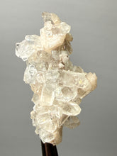 Load image into Gallery viewer, High-Grade Pink Stilbite  + Apophyllite Zeolite | Indian Collector Mineral Specimen
