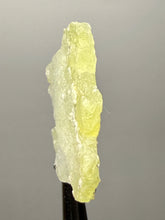 Load image into Gallery viewer, Vibrant Yellow Brucite Thumbnail Mineral Specimen | Collector Crystal from Killa Saifullah District in Balochistan Province, Pakistan
