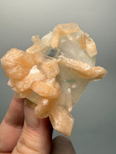 Load image into Gallery viewer, Pink Stilbite with Druzy Frosted Optical Calcite — India Zeolite Specimen

