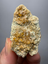 Load image into Gallery viewer, Hessonite Garnet Cluster on Matrix – Natural Collector Specimen from Pakistan | High-Grade Orange-Red Garnet Crystals
