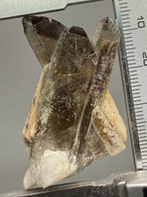 Load image into Gallery viewer, Smoky Quartz Crystal Specimen | Natural Collector Mineral – Brazil
