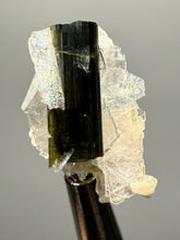 Load image into Gallery viewer, Dark Green Cap Stak Nala Tourmaline with Cleavelandite Flower – Haramosh Mountains, Pakistan | Thumbnail Specimen
